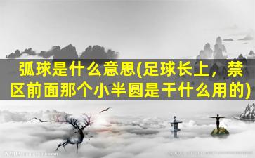 弧球是什么意思(足球长上，禁区前面那个小半圆是干什么用的)