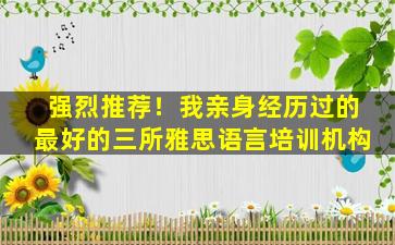 强烈推荐！我亲身经历过的最好的三所雅思语言培训机构