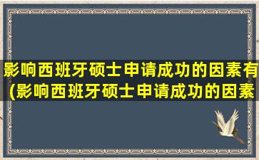 影响西班牙硕士申请成功的因素有(影响西班牙硕士申请成功的因素是什么)