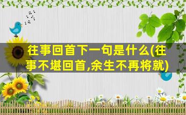 往事回首下一句是什么(往事不堪回首,余生不再将就)