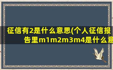 征信有2是什么意思(个人征信报告里m1m2m3m4是什么意思)