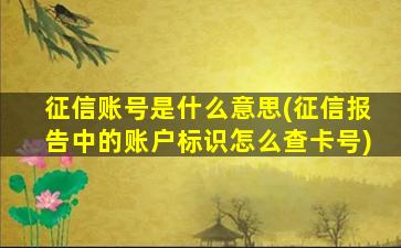 征信账号是什么意思(征信报告中的账户标识怎么查卡号)