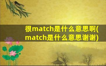 很match是什么意思啊(match是什么意思谢谢)