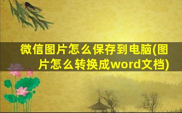 微信图片怎么保存到电脑(图片怎么转换成word文档)