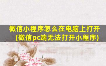 微信小程序怎么在电脑上打开(微信pc端无法打开小程序)