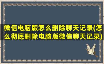 微信电脑版怎么删除聊天记录(怎么彻底删除电脑版微信聊天记录)