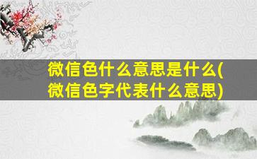 微信色什么意思是什么(微信色字代表什么意思)