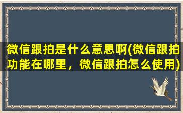 微信跟拍是什么意思啊(微信跟拍功能在哪里，微信跟拍怎么使用)