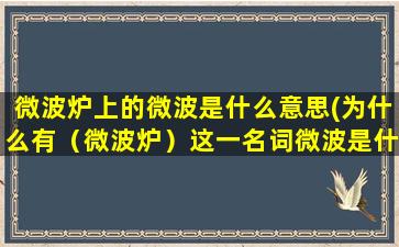 微波炉上的微波是什么意思(为什么有（微波炉）这一名词微波是什么意思)