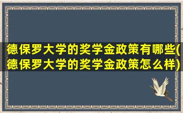 德保罗大学的奖学金政策有哪些(德保罗大学的奖学金政策怎么样)