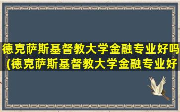 德克萨斯基督教大学金融专业好吗(德克萨斯基督教大学金融专业好吗多少分)