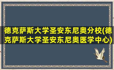 德克萨斯大学圣安东尼奥分校(德克萨斯大学圣安东尼奥医学中心)