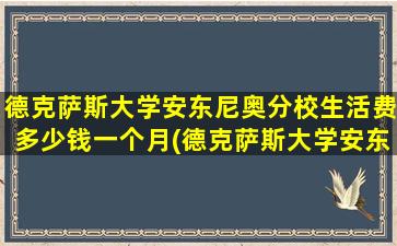 德克萨斯大学安东尼奥分校生活费多少钱一个月(德克萨斯大学安东尼奥分校生活费多少钱一年)