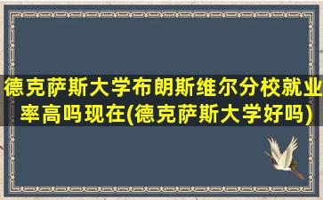 德克萨斯大学布朗斯维尔分校就业率高吗现在(德克萨斯大学好吗)