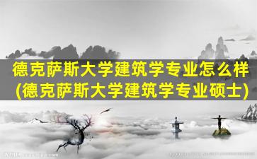 德克萨斯大学建筑学专业怎么样(德克萨斯大学建筑学专业硕士)