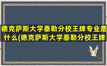 德克萨斯大学泰勒分校王牌专业是什么(德克萨斯大学泰勒分校王牌专业怎么样)