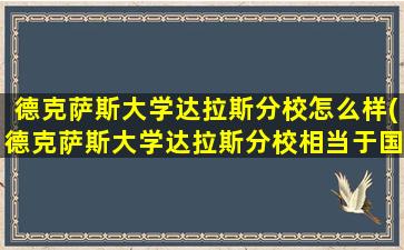 德克萨斯大学达拉斯分校怎么样(德克萨斯大学达拉斯分校相当于国内什么大学)