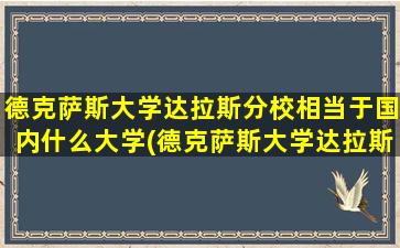 德克萨斯大学达拉斯分校相当于国内什么大学(德克萨斯大学达拉斯分校商学院排名)