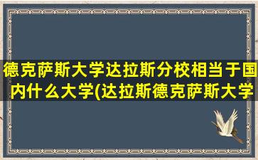 德克萨斯大学达拉斯分校相当于国内什么大学(达拉斯德克萨斯大学全球排名)