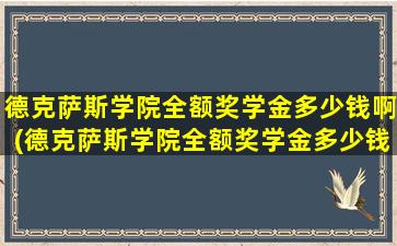 德克萨斯学院全额奖学金多少钱啊(德克萨斯学院全额奖学金多少钱一个月)