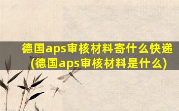 德国aps审核材料寄什么快递(德国aps审核材料是什么)