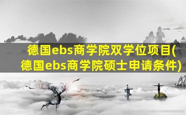 德国ebs商学院双学位项目(德国ebs商学院硕士申请条件)