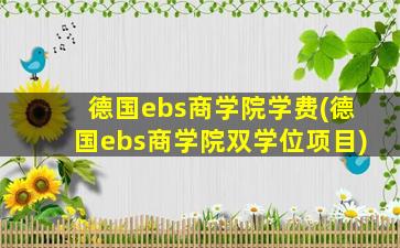 德国ebs商学院学费(德国ebs商学院双学位项目)