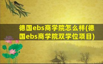 德国ebs商学院怎么样(德国ebs商学院双学位项目)