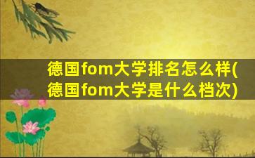 德国fom大学排名怎么样(德国fom大学是什么档次)