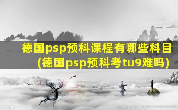 德国psp预科课程有哪些科目(德国psp预科考tu9难吗)