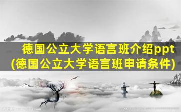 德国公立大学语言班介绍ppt(德国公立大学语言班申请条件)