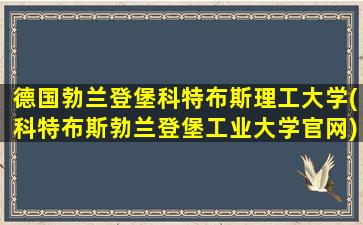 德国勃兰登堡科特布斯理工大学(科特布斯勃兰登堡工业大学官网)