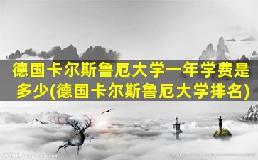 德国卡尔斯鲁厄大学一年学费是多少(德国卡尔斯鲁厄大学排名)