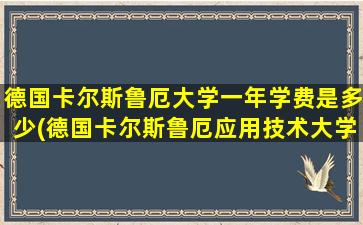 德国卡尔斯鲁厄大学一年学费是多少(德国卡尔斯鲁厄应用技术大学排名)