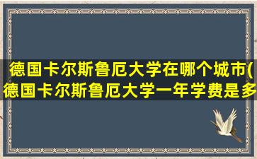 德国卡尔斯鲁厄大学在哪个城市(德国卡尔斯鲁厄大学一年学费是多少)