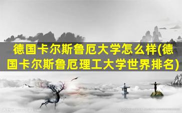 德国卡尔斯鲁厄大学怎么样(德国卡尔斯鲁厄理工大学世界排名)