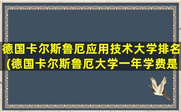 德国卡尔斯鲁厄应用技术大学排名(德国卡尔斯鲁厄大学一年学费是多少)