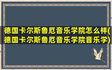 德国卡尔斯鲁厄音乐学院怎么样(德国卡尔斯鲁厄音乐学院音乐学)