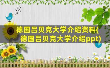 德国吕贝克大学介绍资料(德国吕贝克大学介绍ppt)