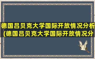 德国吕贝克大学国际开放情况分析(德国吕贝克大学国际开放情况分析)