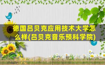 德国吕贝克应用技术大学怎么样(吕贝克音乐预科学院)