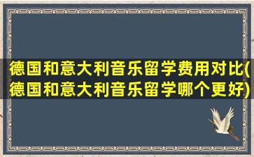 德国和意大利音乐留学费用对比(德国和意大利音乐留学哪个更好)