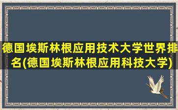 德国埃斯林根应用技术大学世界排名(德国埃斯林根应用科技大学)