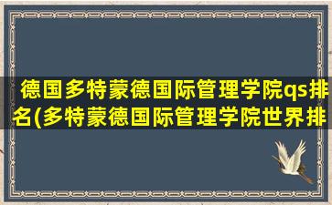 德国多特蒙德国际管理学院qs排名(多特蒙德国际管理学院世界排名)