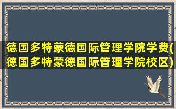 德国多特蒙德国际管理学院学费(德国多特蒙德国际管理学院校区)