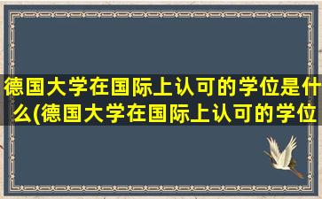 德国大学在国际上认可的学位是什么(德国大学在国际上认可的学位是)