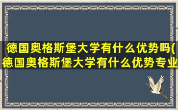 德国奥格斯堡大学有什么优势吗(德国奥格斯堡大学有什么优势专业)