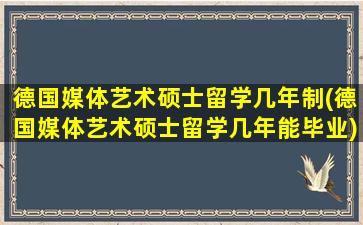 德国媒体艺术硕士留学几年制(德国媒体艺术硕士留学几年能毕业)