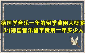 德国学音乐一年的留学费用大概多少(德国音乐留学费用一年多少人民币)