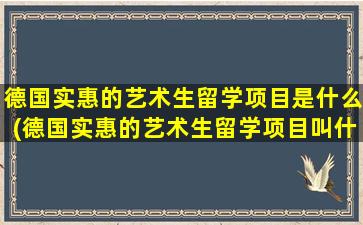 德国实惠的艺术生留学项目是什么(德国实惠的艺术生留学项目叫什么)